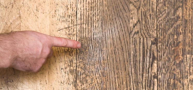 Wood Door Scratch Repair in West Hollywood